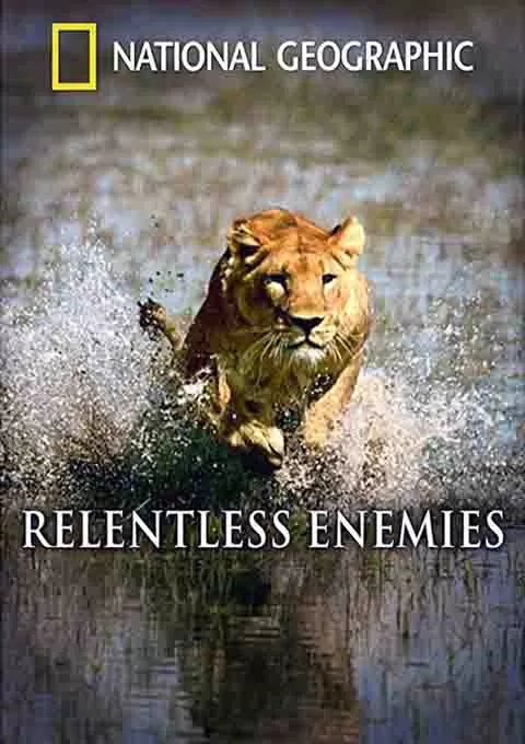 国家地理：冷酷宿敌